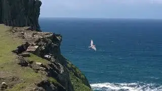 Inishturk Sea Stacks & Cliffs