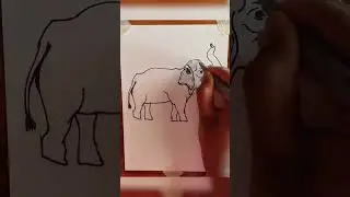 World elephant day🐘|Elephant drawing|Elephant status|#elephant #elephantday #elephantdrawing 😍🥰👩&zwj;🎨