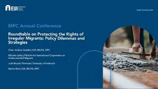 Roundtable on Protecting the Rights of Irregular Migrants: Policy Dilemmas and Strategies
