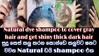 Grey hair cover කරන Natural Dye shampoo එක .dye shampoo with one ingredient only