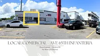Local 1 Plaza Guzm&aacute;n - Carolina PR