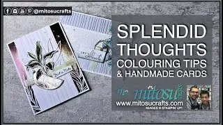Colouring Ideas using Splendid Thoughts Cardmaking and Papercraft LIVE Demonstration