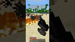 A blessing to my ears #lifestealsmp #minecraftmemes #survival #vanilla #smp #minecraft #lifesteal
