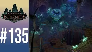 BLIND Let's Play Pillars of Eternity #135 - The Radiant Spore
