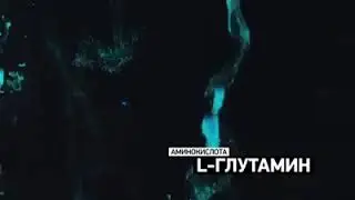 HI   FIBER вкусный коктейль красоты и здоровья