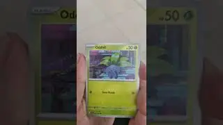 POKEMON #171