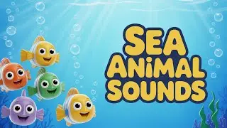 Sea Animal Sounds for Kids 🐟🐬 | Learn Ocean Animals Sounds