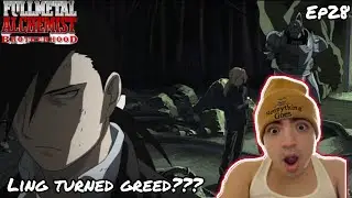 LING TURNED GREED? | FULLMETAL ALCHEMIST: BROTHERHOOD EPISODE 28 REACTION
