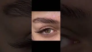 which one is the best？|lash extensions #eyelashes #lashes