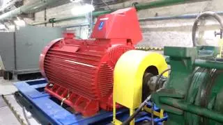 Run-up of Line Start Permanent Magnet Synchronous Motor in large pump application (1600kW,1500rpm)
