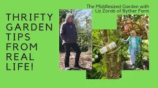 Save money on your gardening - thrifty tips for beautiful borders. With Liz Zorab of Byther Farm