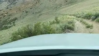 Kennedy point saddle to queen mine road ( boundary peak Nevada )