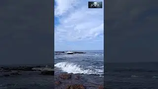Deep Sea...|#viral #shorts #trending