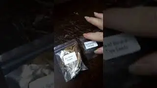 Seeds Ordered over a month ago on Ebay