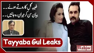 Tayyaba Gul in PAC | Complete Story | Nab Chairman Javed Iqbal | Wahjoc