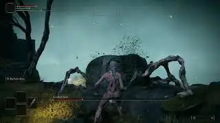 Elden Ring - Level 1 Wretch vs Grafted Scion - No Damage/Sem Levar Hit [Solo]