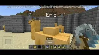 Minecraft gameplay 7:I filled camels in my camel enclosure