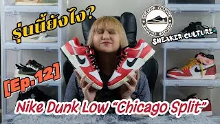 Nike Dunk Low Chicago Split REVIEW | SNEAKER CULTURE Ep.12