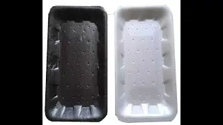 PS foam food box machine PS GPPS Foam food box machine/PS food container machinery manufacture