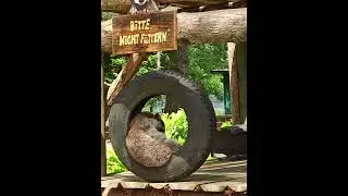 Wild- & Freizeitpark Klotten (Mai 2022)