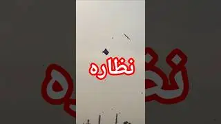 Kite Catching | Lahore Basant | #basant2026 #kiteflying #kitefestival
