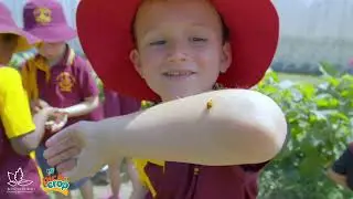 Collinsville State School visits Lower Don Organics in Bowen