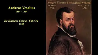 Pioneers of Science:  Andreas Vesalius- The Father of Anatomy