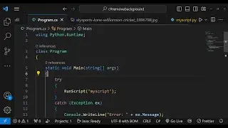 Build a C# Project to Remove Background of Images Using Python Script & PythonNet Library