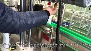 Self -Adhesive Two side Labeling Machine