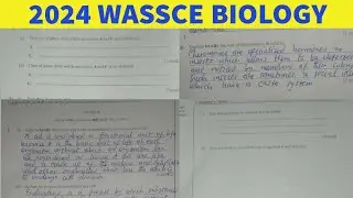 Вопросы и ответы по биологии WASSCE 2024, раздел B