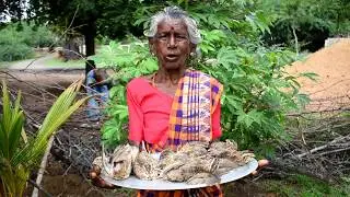 Quail Fry | Kaadai Varuval | Village Grandma Cooking And Eating