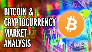Bitcoin and Crypto absolutely PUMPS! Bull run imminent? 🐮 Fundamental Analysis