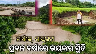 Flood situation due to heavy rains || Sarthil Village  Rayagada || Many farmlands have been damaged.