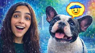 MI PERRO LLORA POR LA LLUVIA😳💦| More Andrade