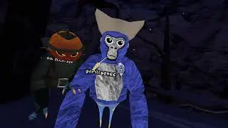 New content creator on ghost of tabor, animals rivals and sometimes gorilla tag 