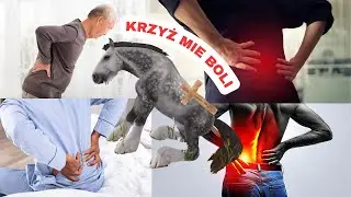 Chłopaki z Barak&oacute;w, ale to Star Stable...