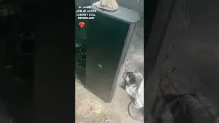 ARMAN AUDIO CABINET