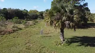 Gordy Recreation Area Disc Golf Course - Drone Overview: Blue pads