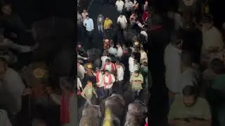 Narayanguda sadar | do subscribe for more videos | #support #festival #viralvideo #diwali #songs