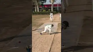 ￼ Good throw #cricket #highball #hardball #hardballcricket #hardballmatch #hardballbatting