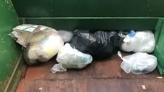 Screaming bags of trash