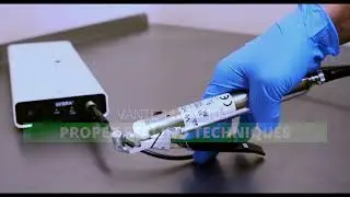 Vante & Sebra Proper Sealing Techniques