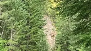 Mount Hood minivan camping #vanlife
