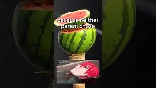 Why does Chise value family so much?
