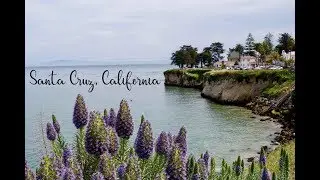 WOW air travel guide application