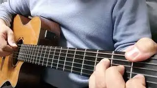 #Have you ever really loved woman #Bryan Adams #Paco De Lucia #Practice #연습영상 #Covered by LeeSeam