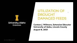 Utilization of Drought Damaged Feeds
