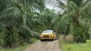 MAM MALAYSIA FESTIVAL OF SPEED RALLY SEPANG. Jump SS 2/5/8