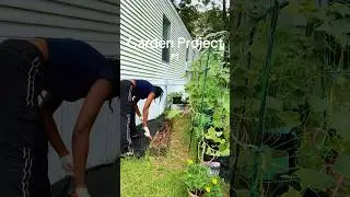 Yes another garden project!