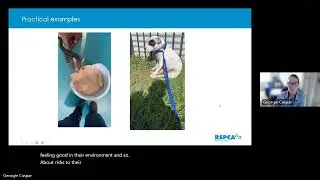 ARRP Webinar - Meeting the needs of animals in research 2025